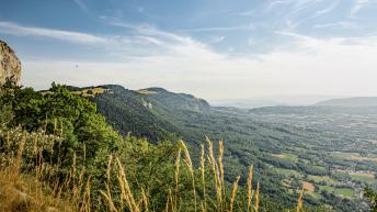 Projet de territoire_Brice Souvansanouk