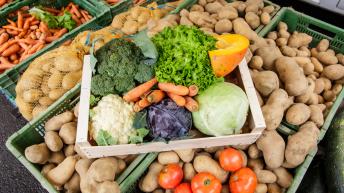 Projet Alimentaire Territorial