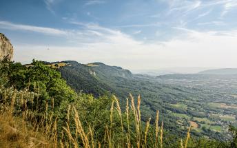Projet de territoire_Brice Souvansanouk
