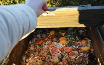 Demander un kit de compostage individuel