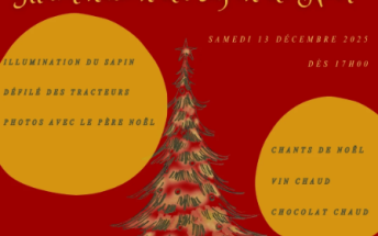 Illumination du Sapin de Noël_Feigères
