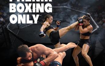 PHENIX BOXING ONLY N°13