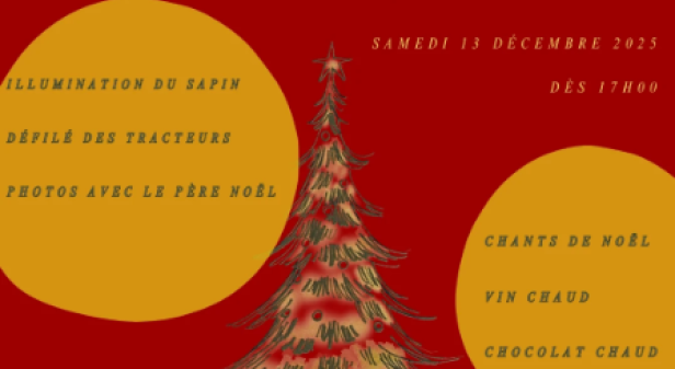 Illumination du Sapin de Noël_Feigères