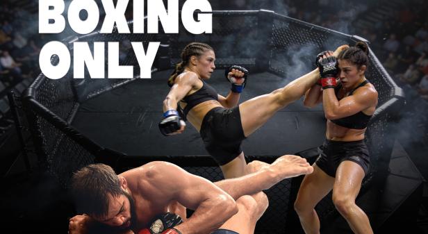 PHENIX BOXING ONLY N°13