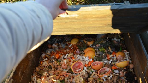 Demander un kit de compostage individuel
