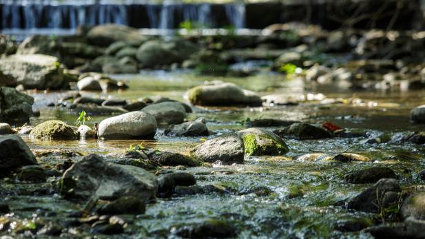 Schéma d'aménagement et de gestion des eaux